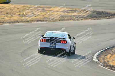 media/Feb-01-2025-Turn8 Trackdays (Sat) [[5681b0f63a]]/Inter 2/Session 1 (Turns 4b and 5)/